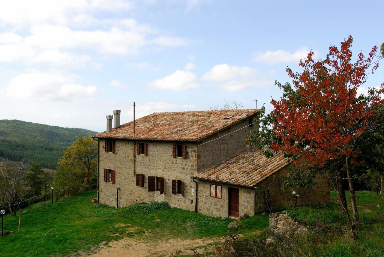 A Stay Surrounded By Greenery - Agriturismo La Piaggia - App 2 Bathrooms Vivo dʼOrcia Dış mekan fotoğraf