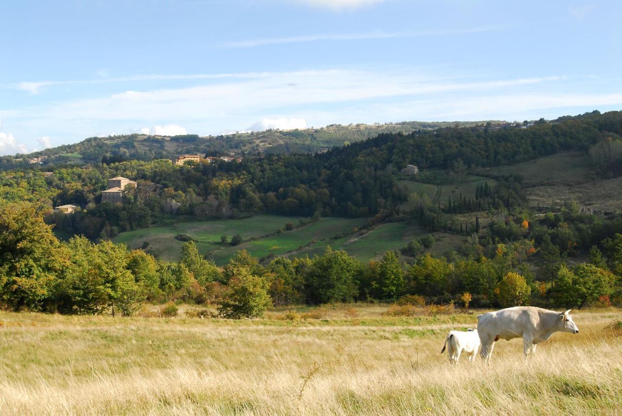 A Stay Surrounded By Greenery - Agriturismo La Piaggia - App 2 Bathrooms Vivo dʼOrcia Dış mekan fotoğraf