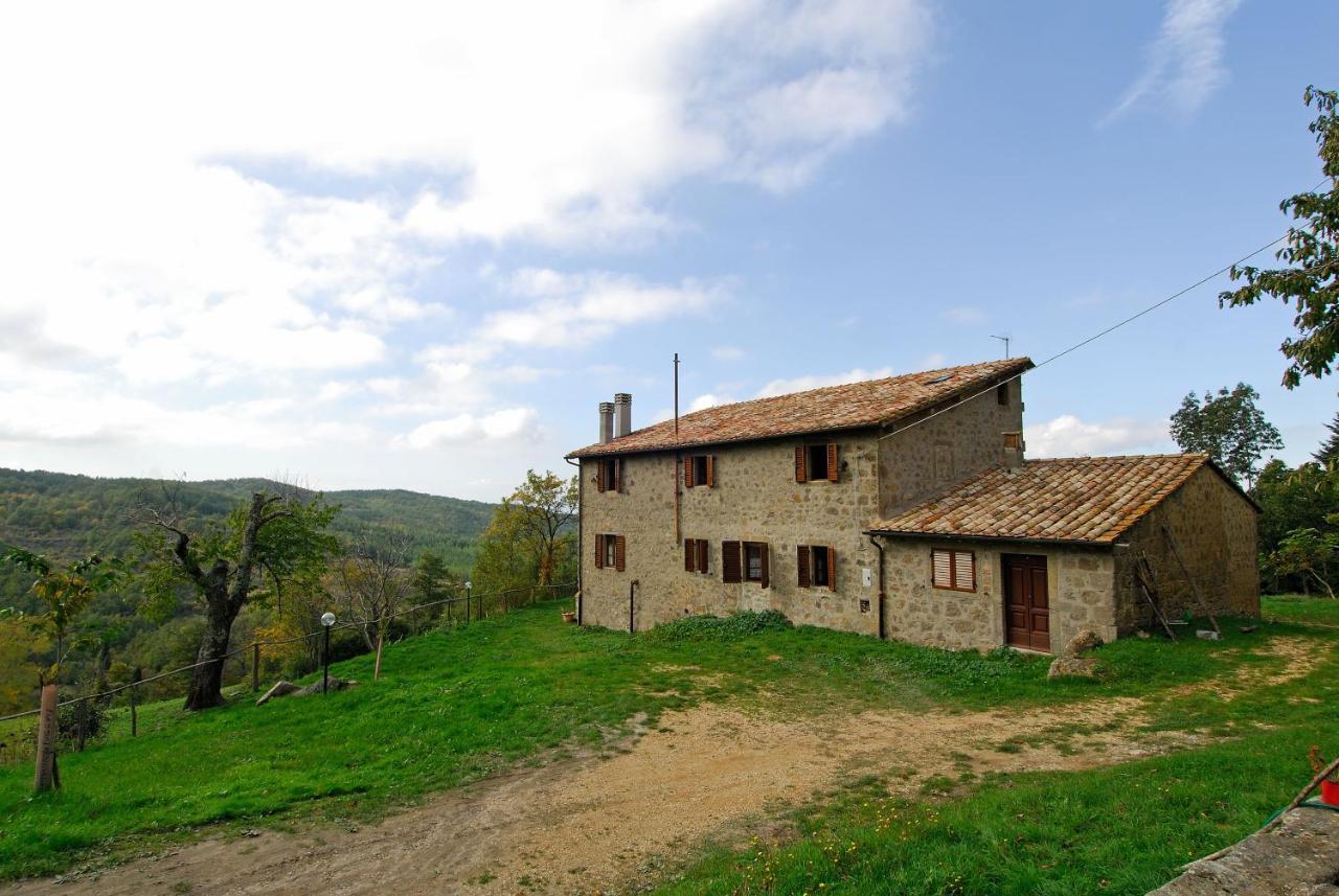 A Stay Surrounded By Greenery - Agriturismo La Piaggia - App 2 Bathrooms Vivo dʼOrcia Dış mekan fotoğraf