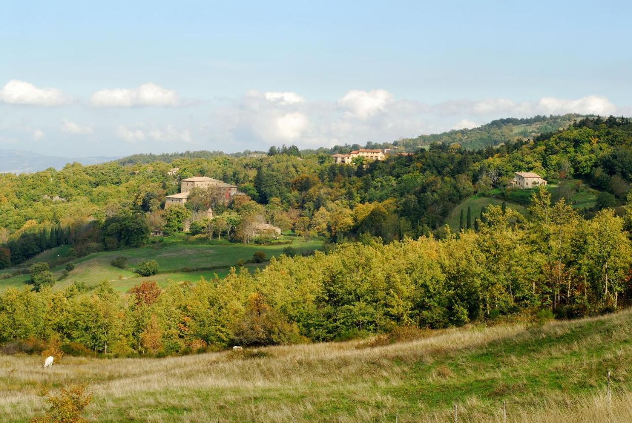 A Stay Surrounded By Greenery - Agriturismo La Piaggia - App 2 Bathrooms Vivo dʼOrcia Dış mekan fotoğraf