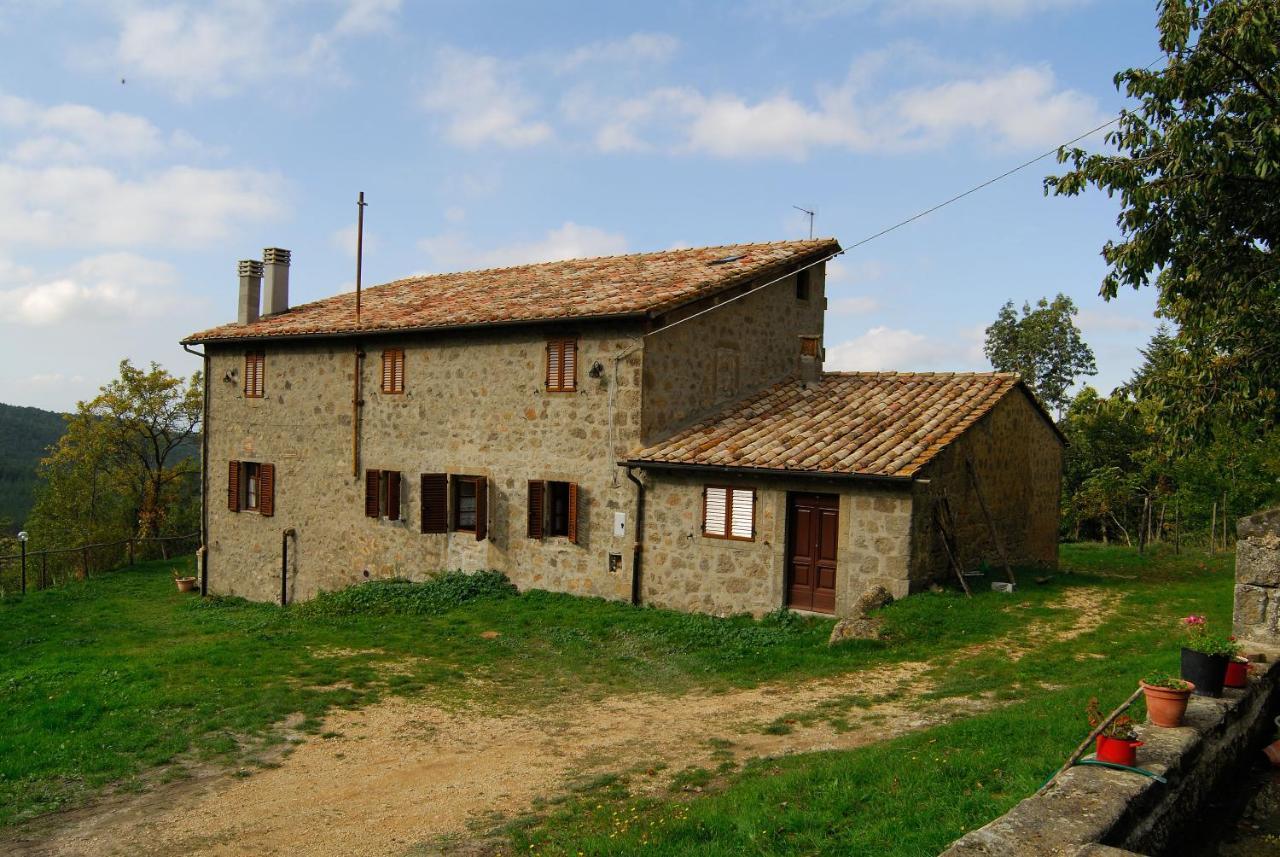 A Stay Surrounded By Greenery - Agriturismo La Piaggia - App 2 Bathrooms Vivo dʼOrcia Dış mekan fotoğraf